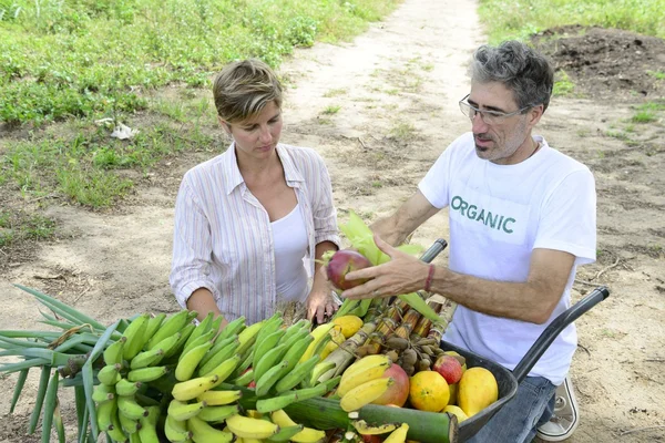 Customer buying direct from farmer — Stock Photo, Image