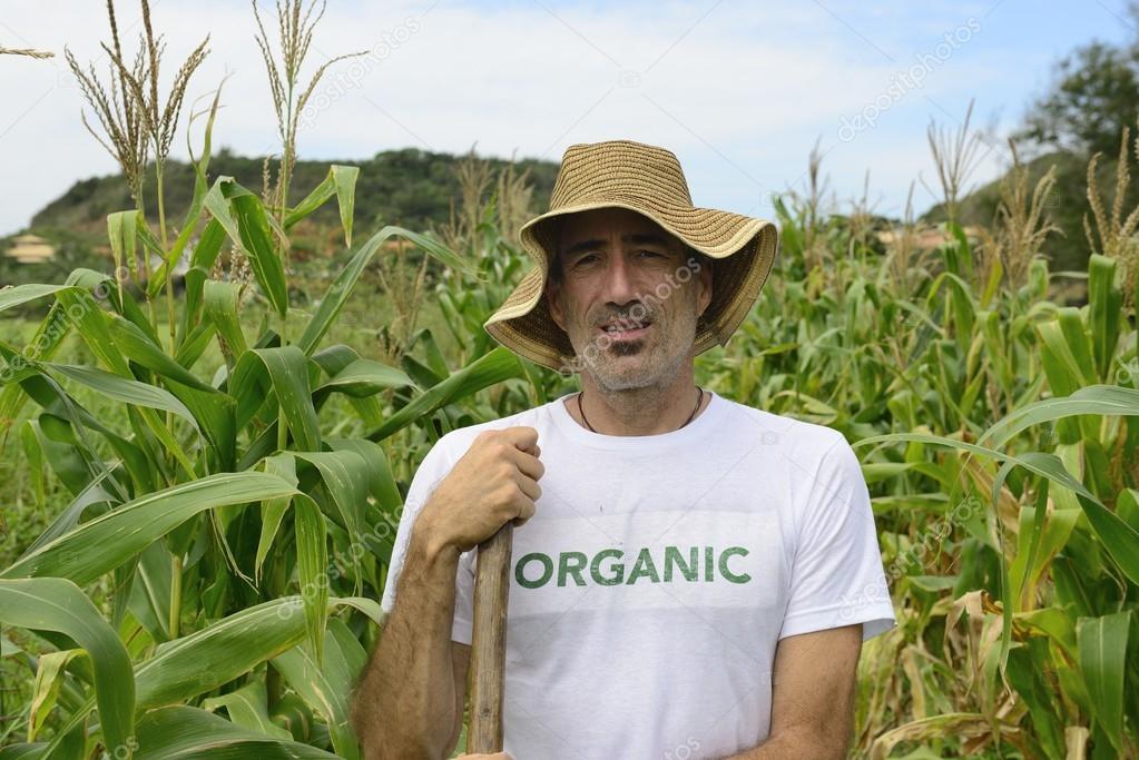 Eco farmer in corn plantation