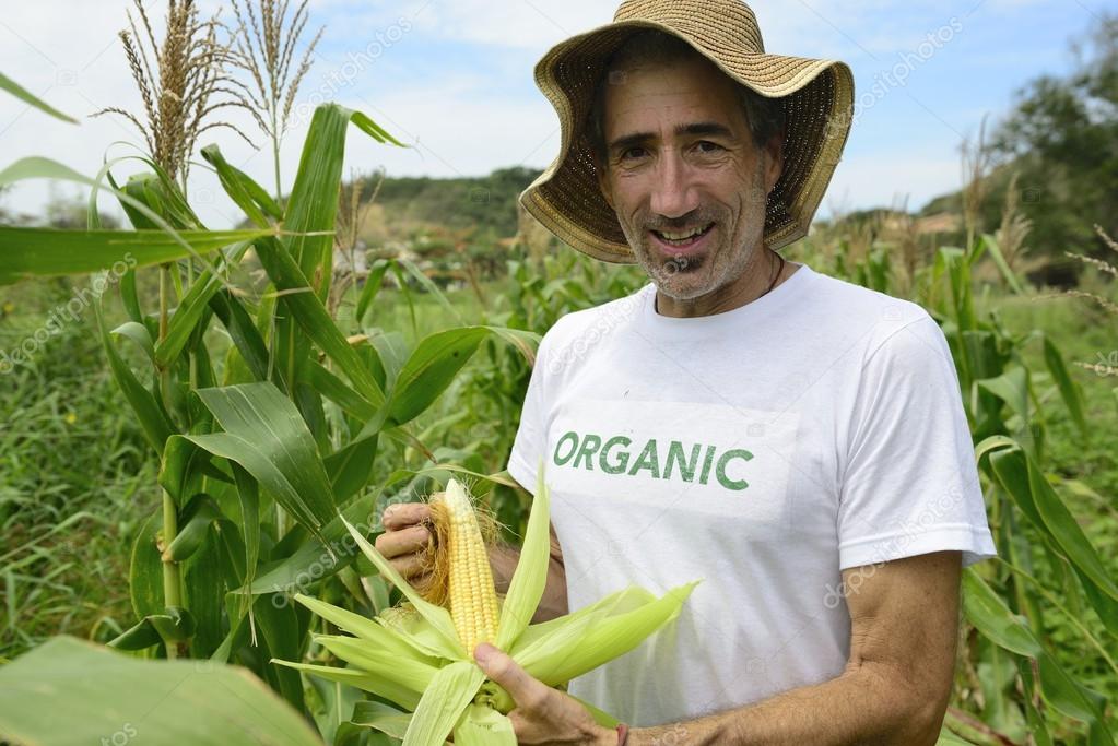 An eco farmer in corn plantation