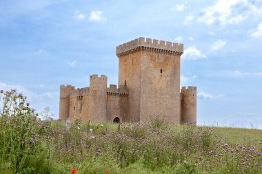 Villalonso Castle, built in the 15th century, next to the town of the same name in the province of Zamora, Spain.