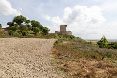 Tiedra Kalesi, İspanya 'nın Valladolid ilinde aynı isimde bir köyde yer almaktadır. 13. yüzyıldan kalma, Kastilya ve Leon krallıkları arasındaki ayrılığı korumak için inşa edilmiş bir sınır kalesidir.
