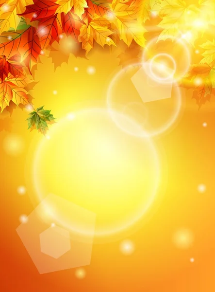 따뜻한 햇살가 단풍 잎, 태양 광선의 효과 함께 밝은 포스터. 벡터 일러스트 레이 션 — 스톡 벡터