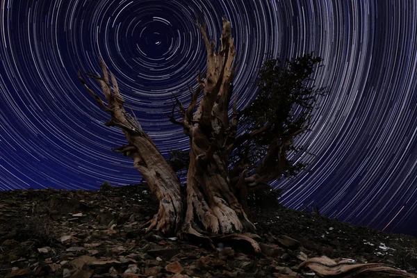 Light Painted Landscape of Camping and Stars — Stock Photo, Image