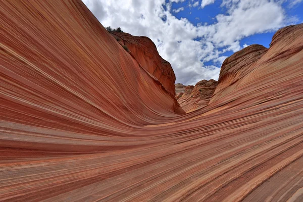 Dalga Navajo Arizona ABD oluşumunda kum — Stok fotoğraf