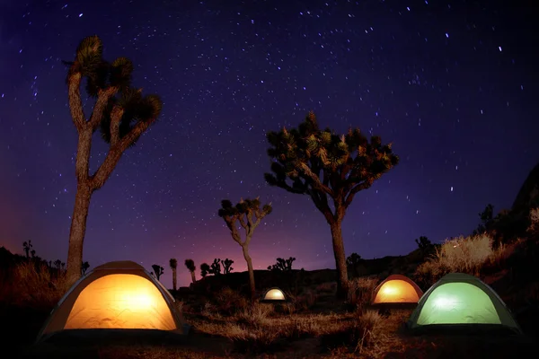 Light Painted Landscape of Camping and Stars