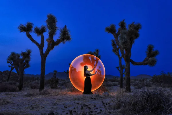 Licht Geschilderd Meisje Woestijn Bomen Van Joshua Tree — Stockfoto