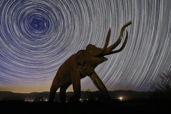 Long Exposure Star Trail Images Sculptures Anza Borrego California — Stock Photo, Image