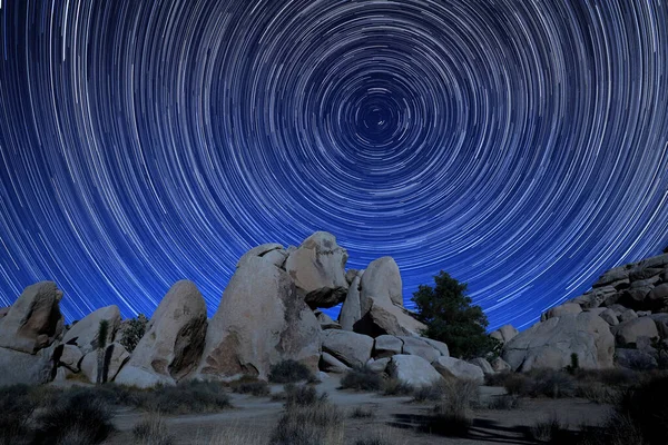 ジョシュア ツリー カリフォルニアの月明かりの夜の星の道 — ストック写真