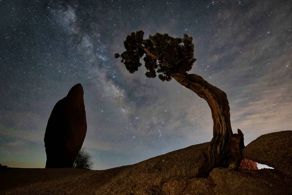 Night Sky Milky Way Image Joshua Tree California Стокова Картинка