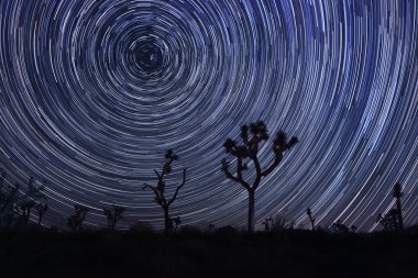 Star yollar ve Samanyolu joshua tree national Park