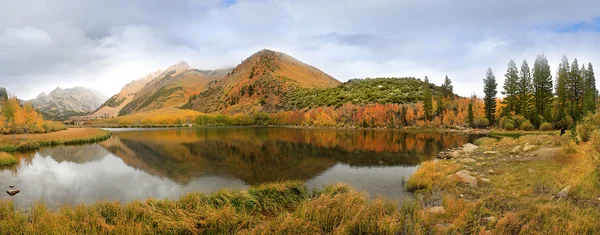 内华达山区加州的秋天色彩 — 图库照片