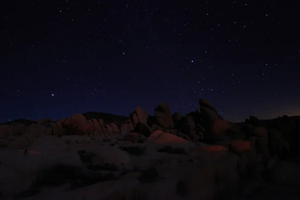 Mavi gece gökyüzü Joshua Tree National Park içinde — Stok fotoğraf