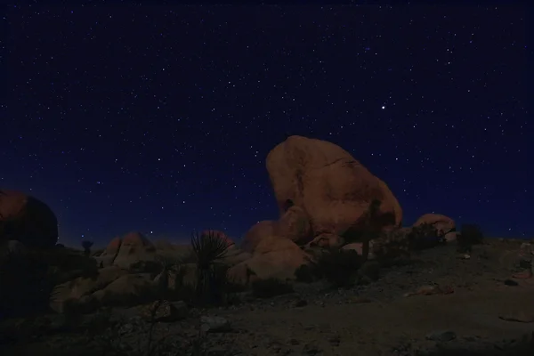 Blauwe nachtelijke hemel in Joshua Tree National Park — Stockfoto