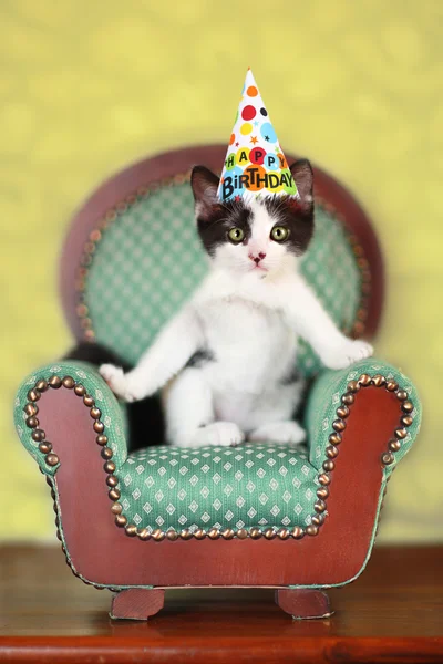 Gattino seduto su una sedia — Foto Stock