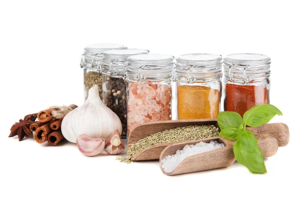 Set of different herbs and spice — Stock Photo, Image