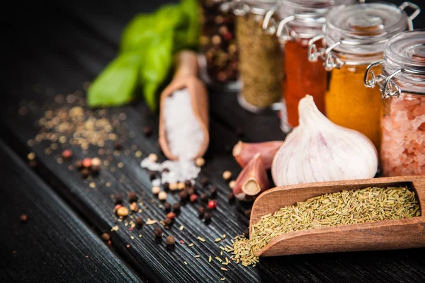 Set of different herbs and spice — Stock Photo, Image