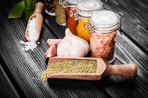 Set of different herbs and spice — Stock Photo, Image