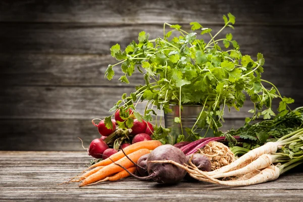 Verduras orgánicas frescas —  Fotos de Stock