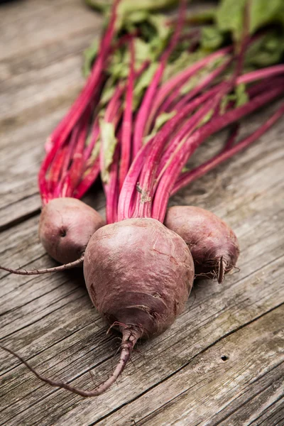 Frisches Bio-Gemüse — Stockfoto