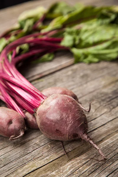 Fresh organic vegetables — Stock Photo, Image