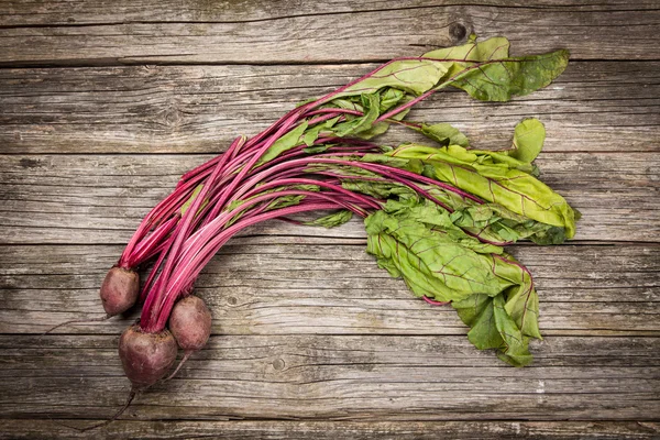 Frisches Bio-Gemüse — Stockfoto