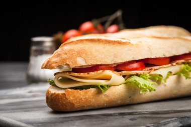 Panini ızgara sandviç