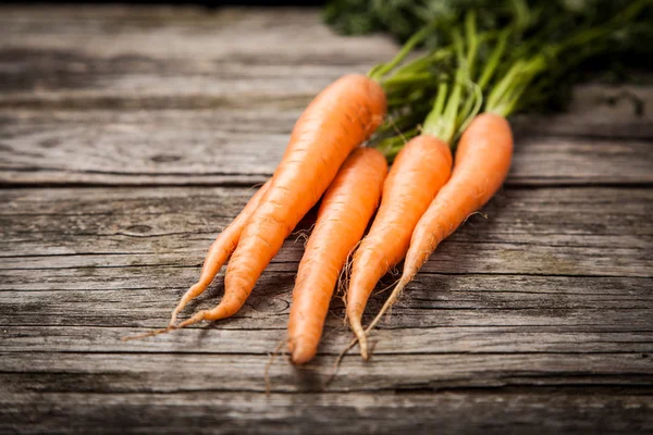 Frisches Bio-Gemüse — Stockfoto