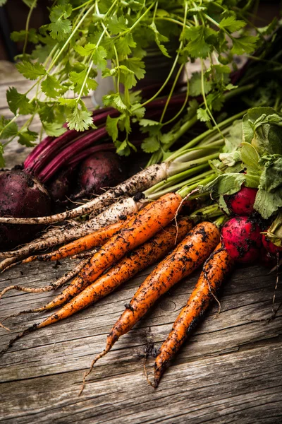 Verduras orgánicas frescas — Foto de Stock