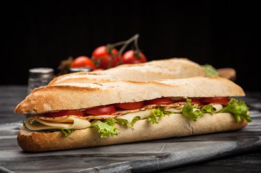 Panini ızgara sandviç