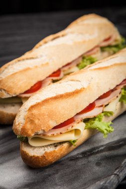 Panini ızgara sandviç