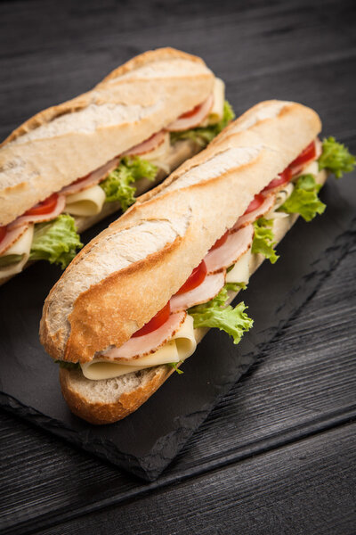 Panini grilled sandwich