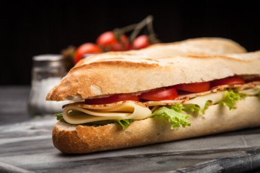 Panini ızgara sandviç