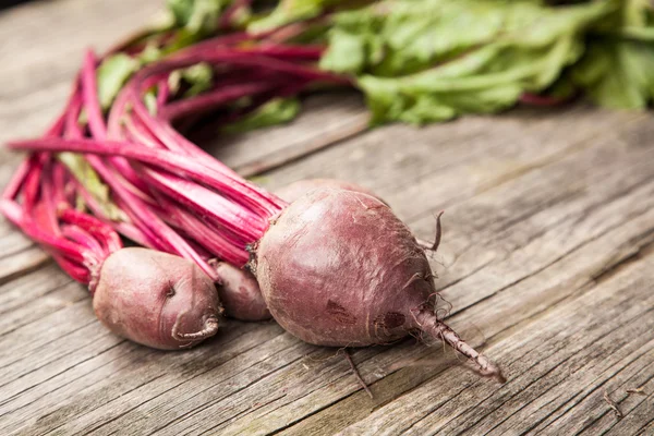 Fresh organic vegetables — Stock Photo, Image