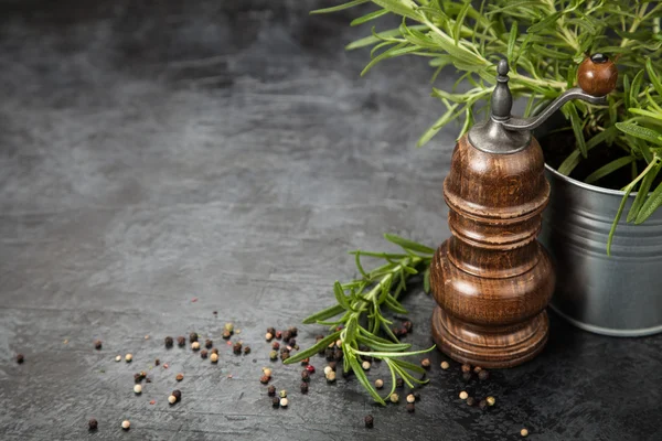 Pfeffermühle auf dunklem Hintergrund — Stockfoto