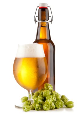 Beyaz arkaplanda bira bardağı