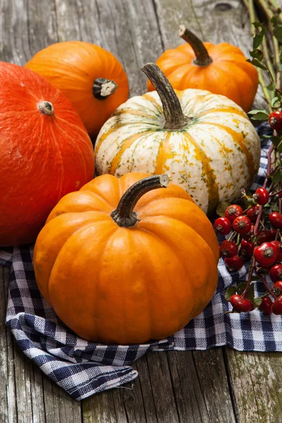 Calabazas coloridas en madera vieja — Foto de Stock