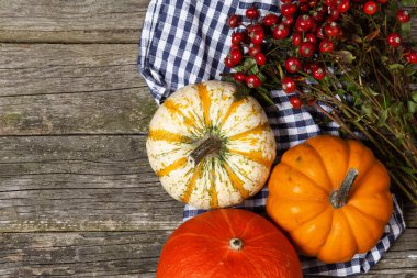 Eski ahşap üzerine renkli kabaklar