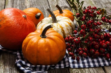 Eski ahşap üzerine renkli kabaklar