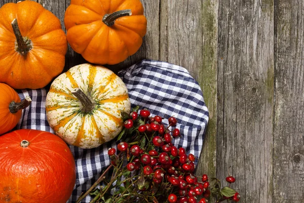 Colorful pumpkins on old wood — Stock Photo, Image