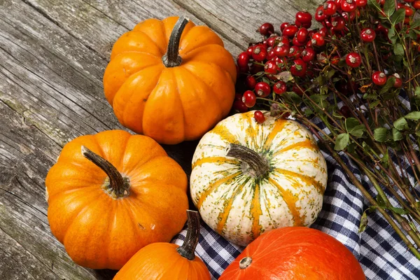 Calabazas coloridas en madera vieja — Foto de Stock