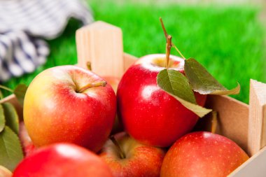 taze kırmızı elmalar