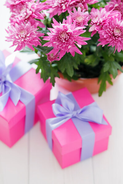 Composition of pink flowers and gift boxes