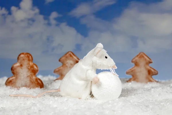 Játék patkány hógolyókat játék — Stock Fotó