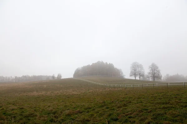 Mistig landschap — Stockfoto