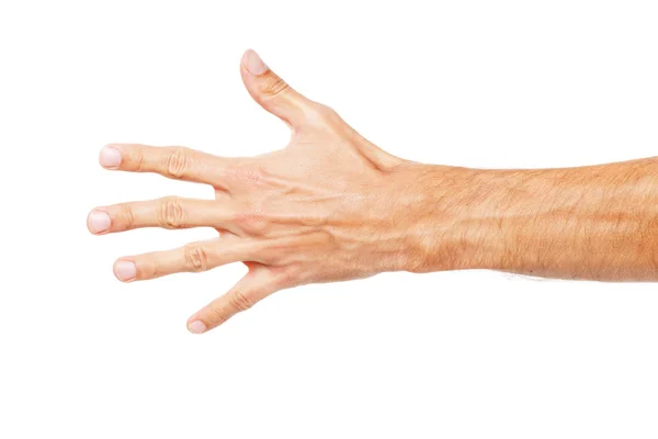 Männliche Hand isoliert auf weißem Hintergrund — Stockfoto