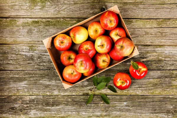 Fresh red apples on wooden table — Stock Photo, Image