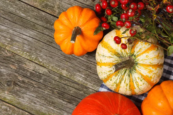 Colorful pumpkins on old wood — Stock Photo, Image