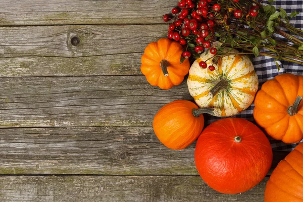 Colorful pumpkins on old wood — Stock Photo, Image