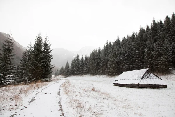 Prachtige besneeuwde mouintains landschap — Stockfoto