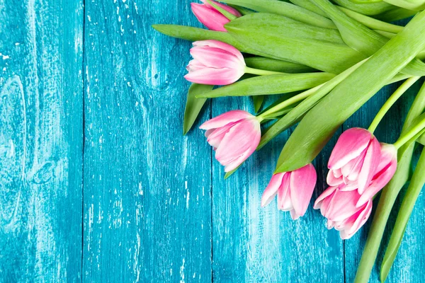 Beautiful pink tulips on blue wood background — Stock Photo, Image